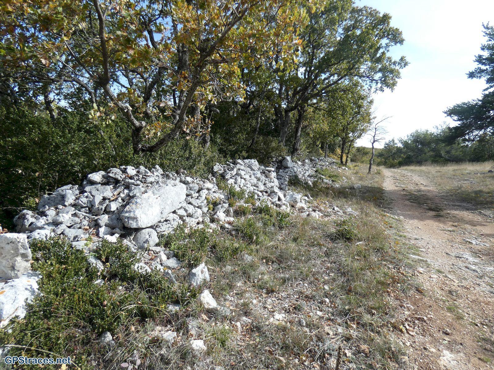 Le mur de la peste