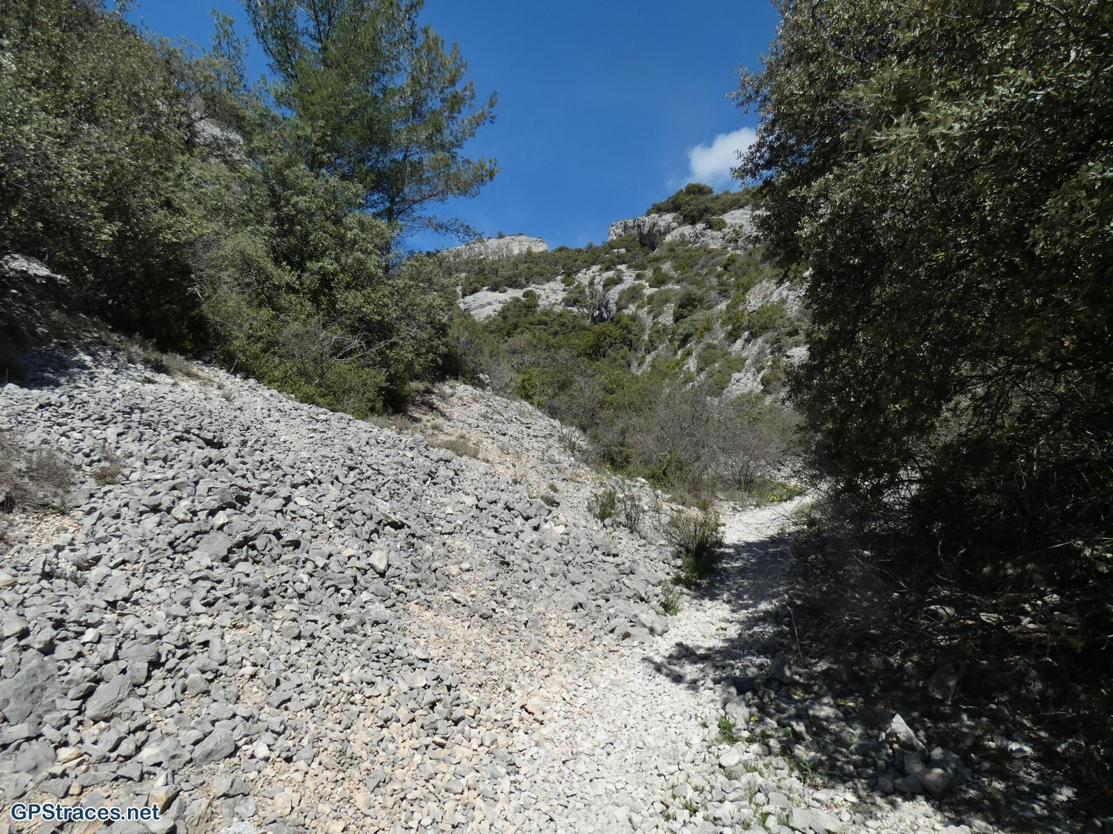 Dans la combe
