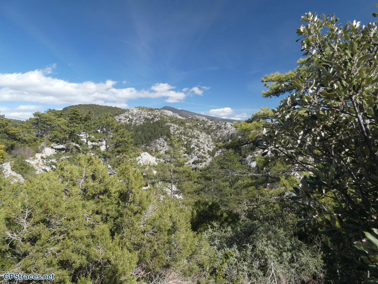 Le Mont Ventoux au loin