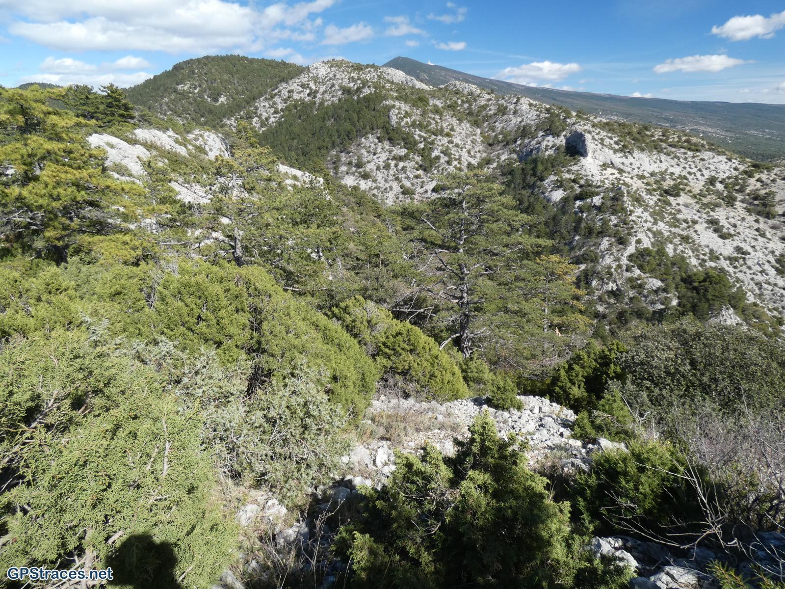 Vaucluse-Crillon Le Brave - Rocher de la Madeleine - Les Trois Termes–10