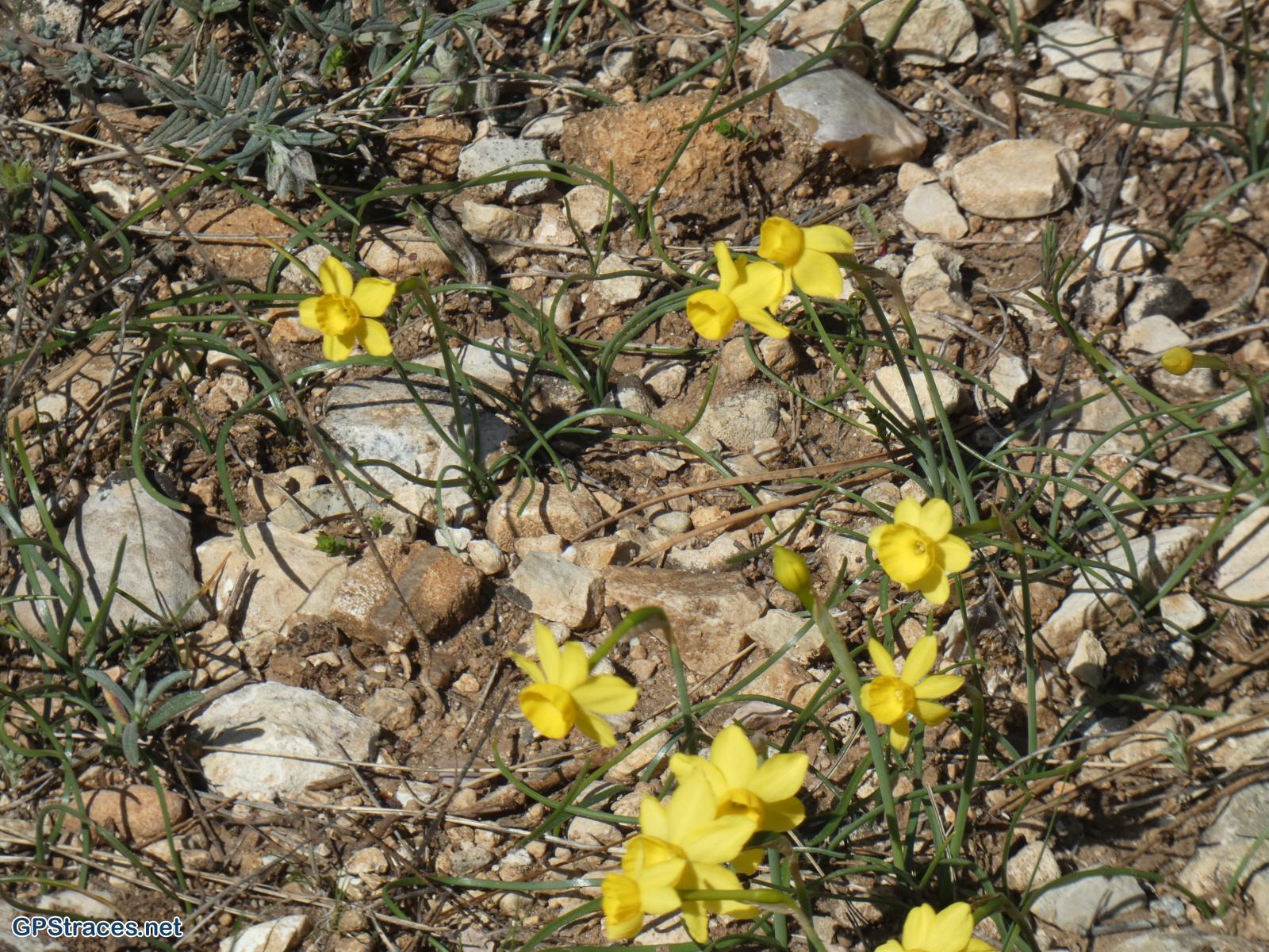 Vaucluse-Crillon Le Brave - Rocher de la Madeleine - Les Trois Termes–11