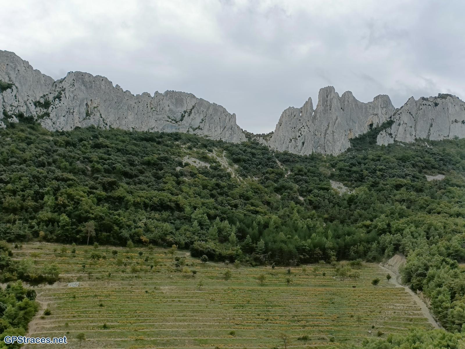 Vaucluse-Les dentelles de Montmirail–1