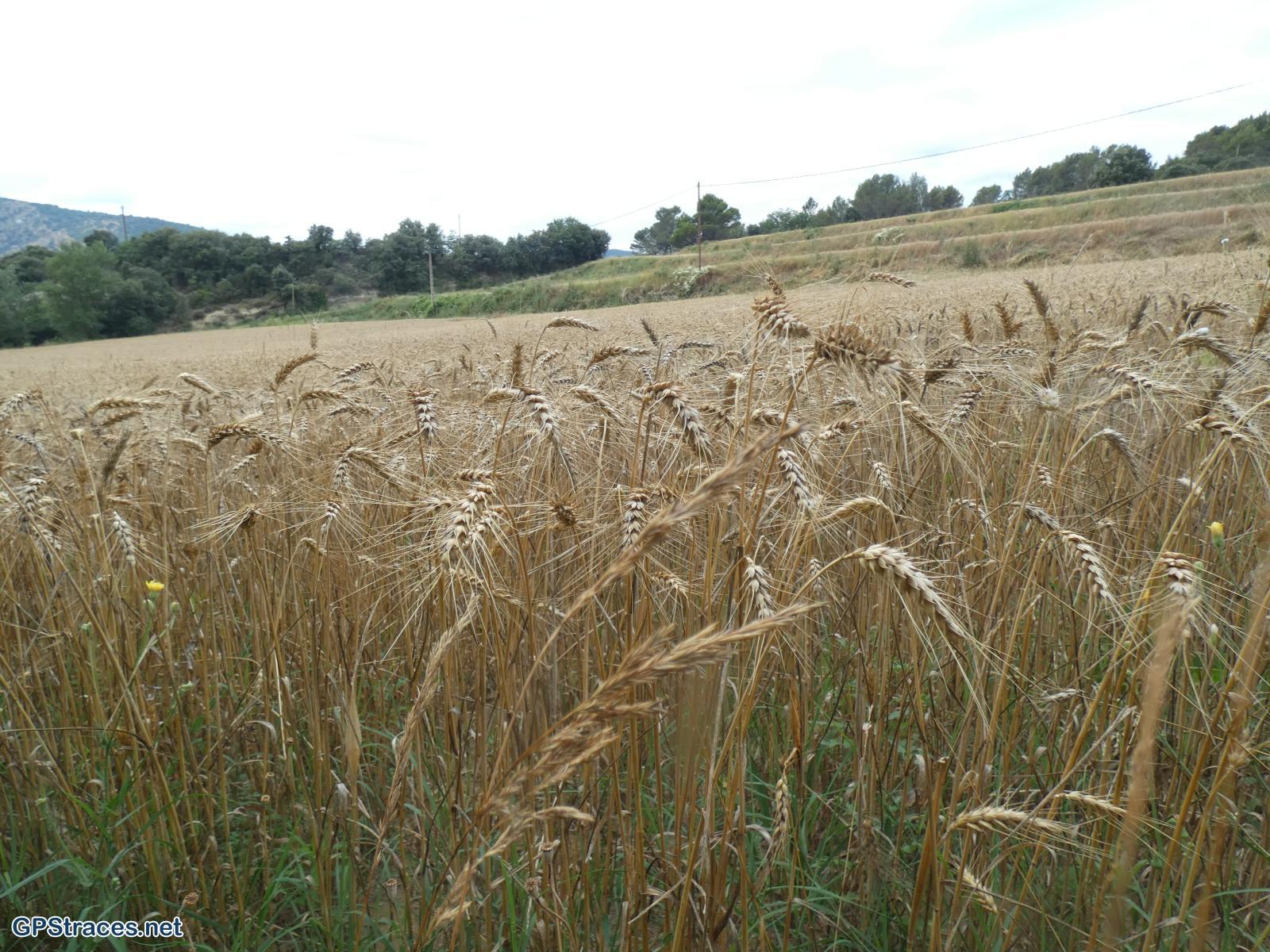 Vaucluse-Entrechaux - L'Ouvèze–22