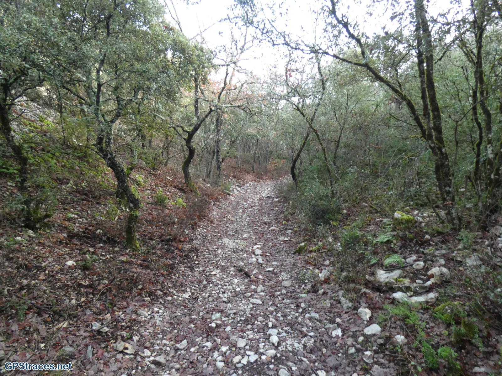La combe de Canaud