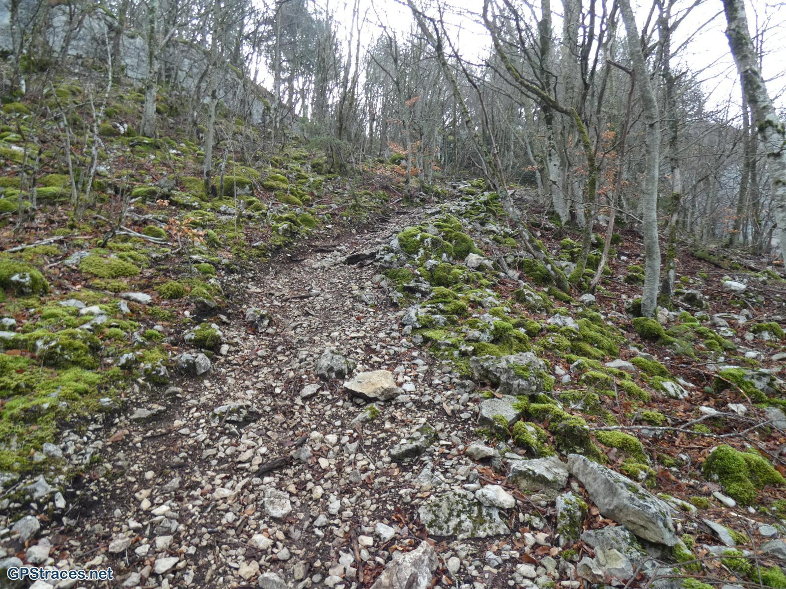 la montée vers la chapelle