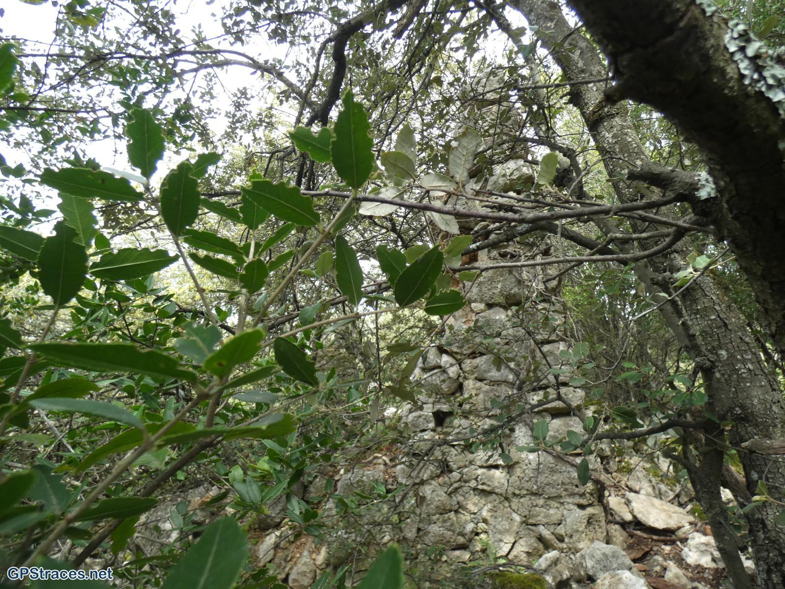 Vaucluse-Habitats oubliés de la Nesque et rocher du Cire–8