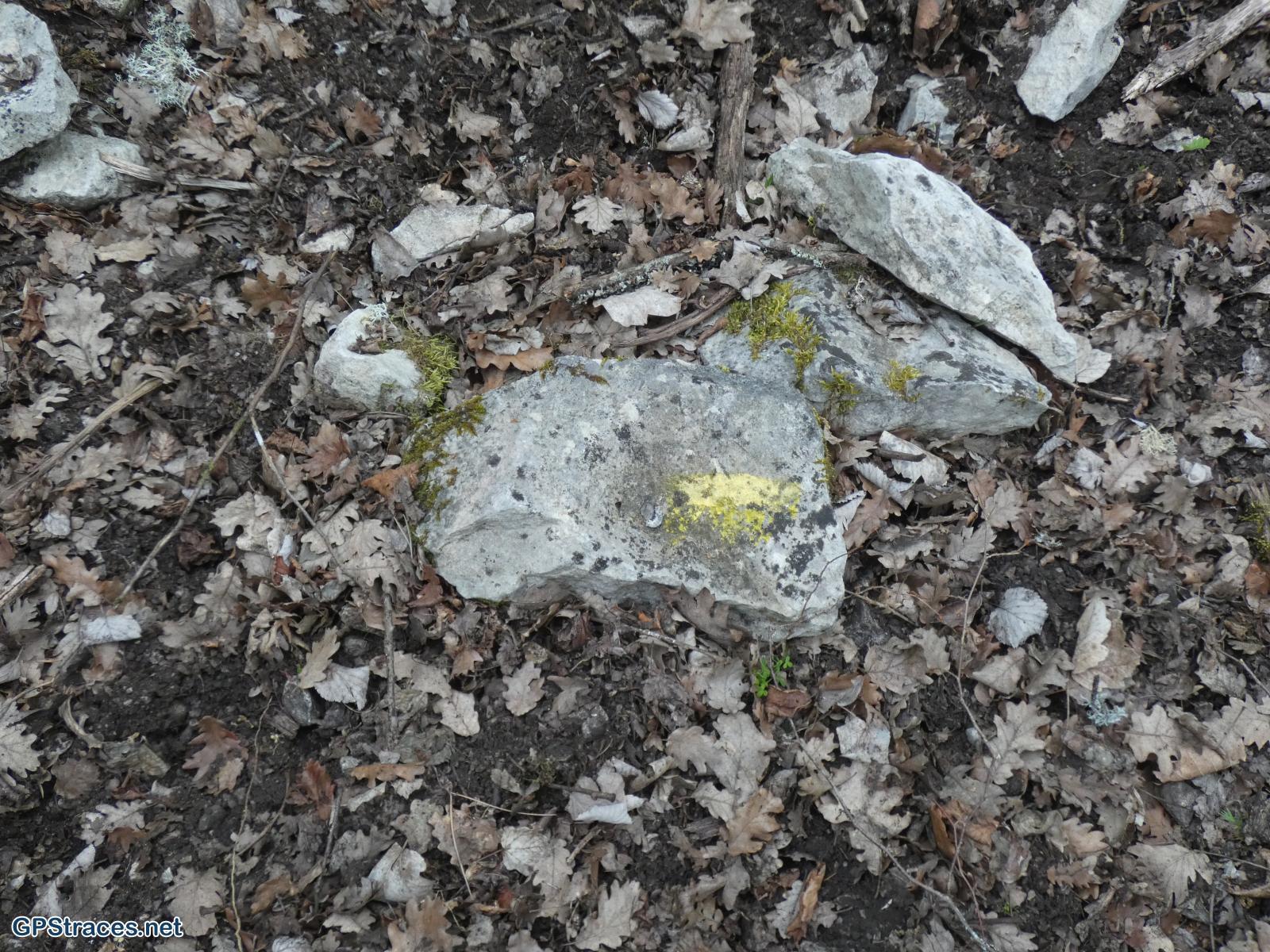 D'anciennes balises jaunes sur le chemin
