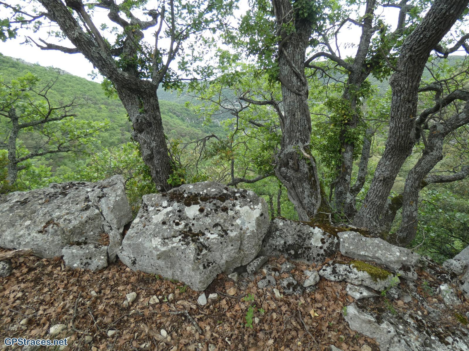Le virage aux Tarlans