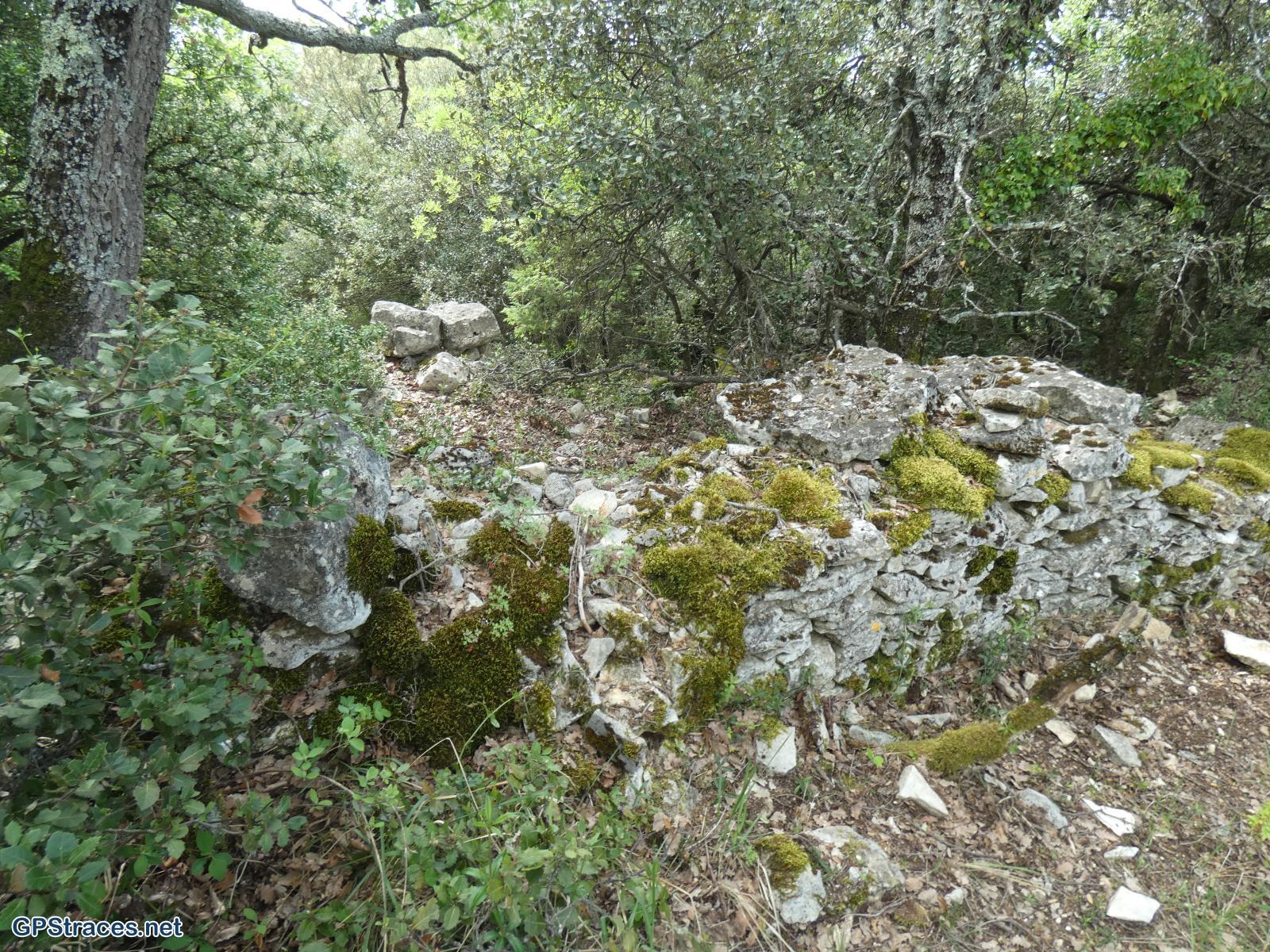 Pointevin