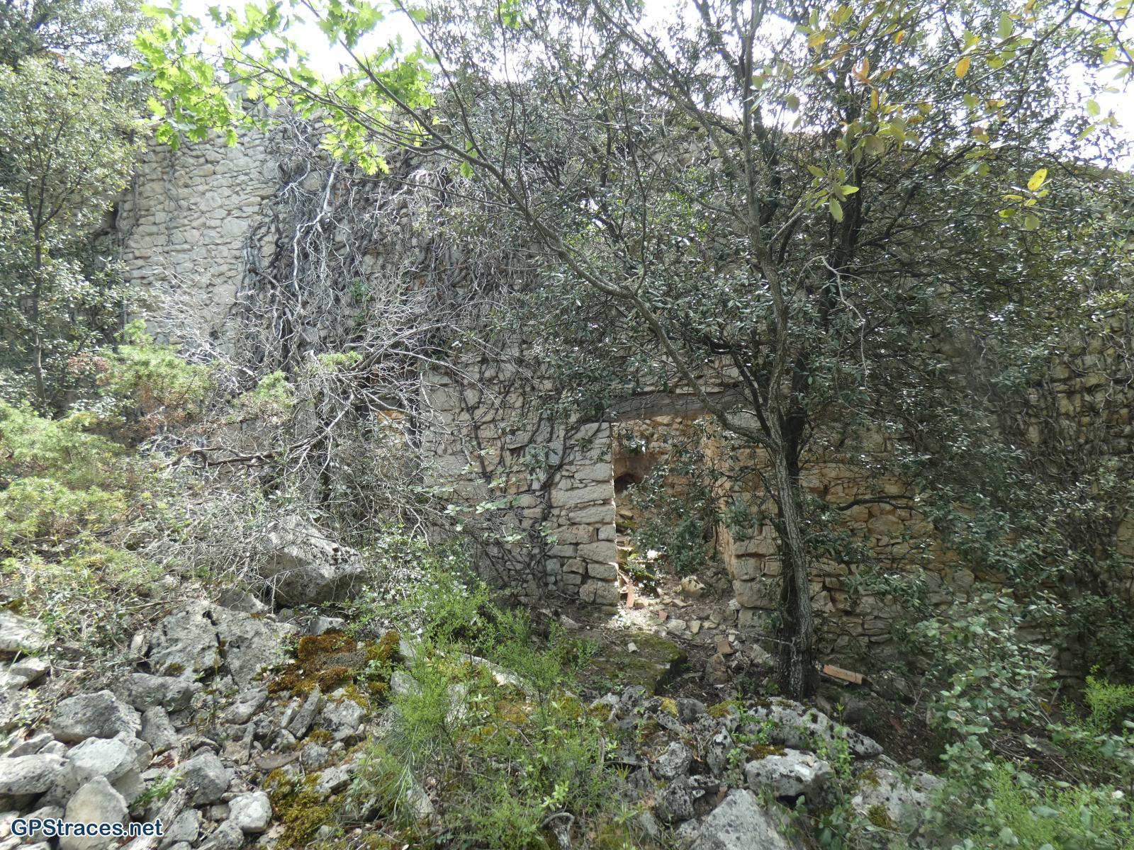 Pointevin