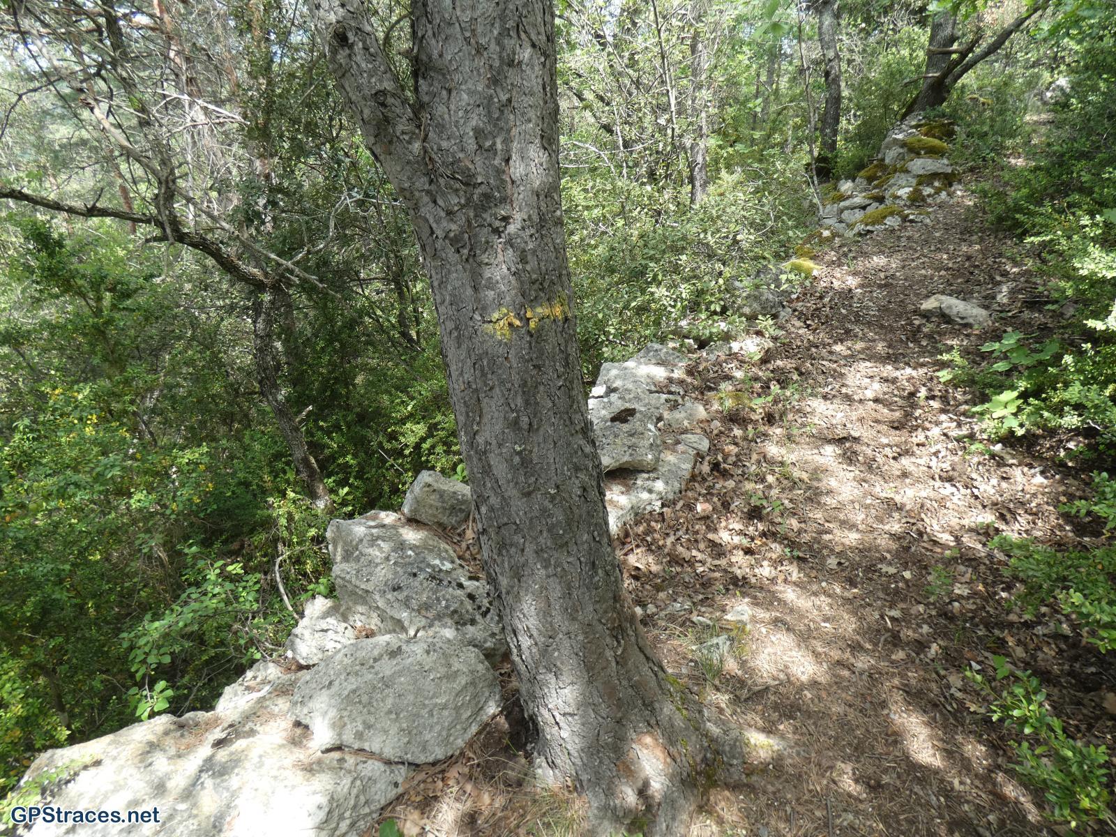 Le balisage sur l'arbre