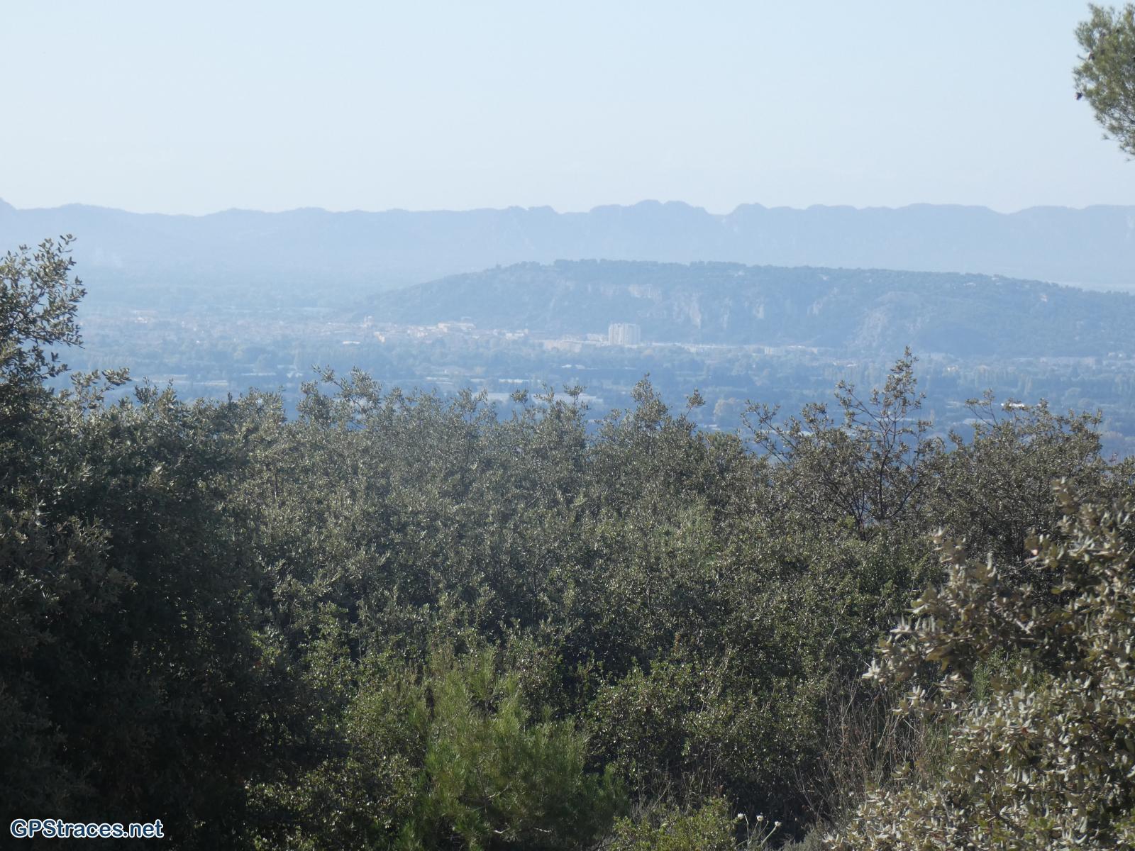 Cavaillon