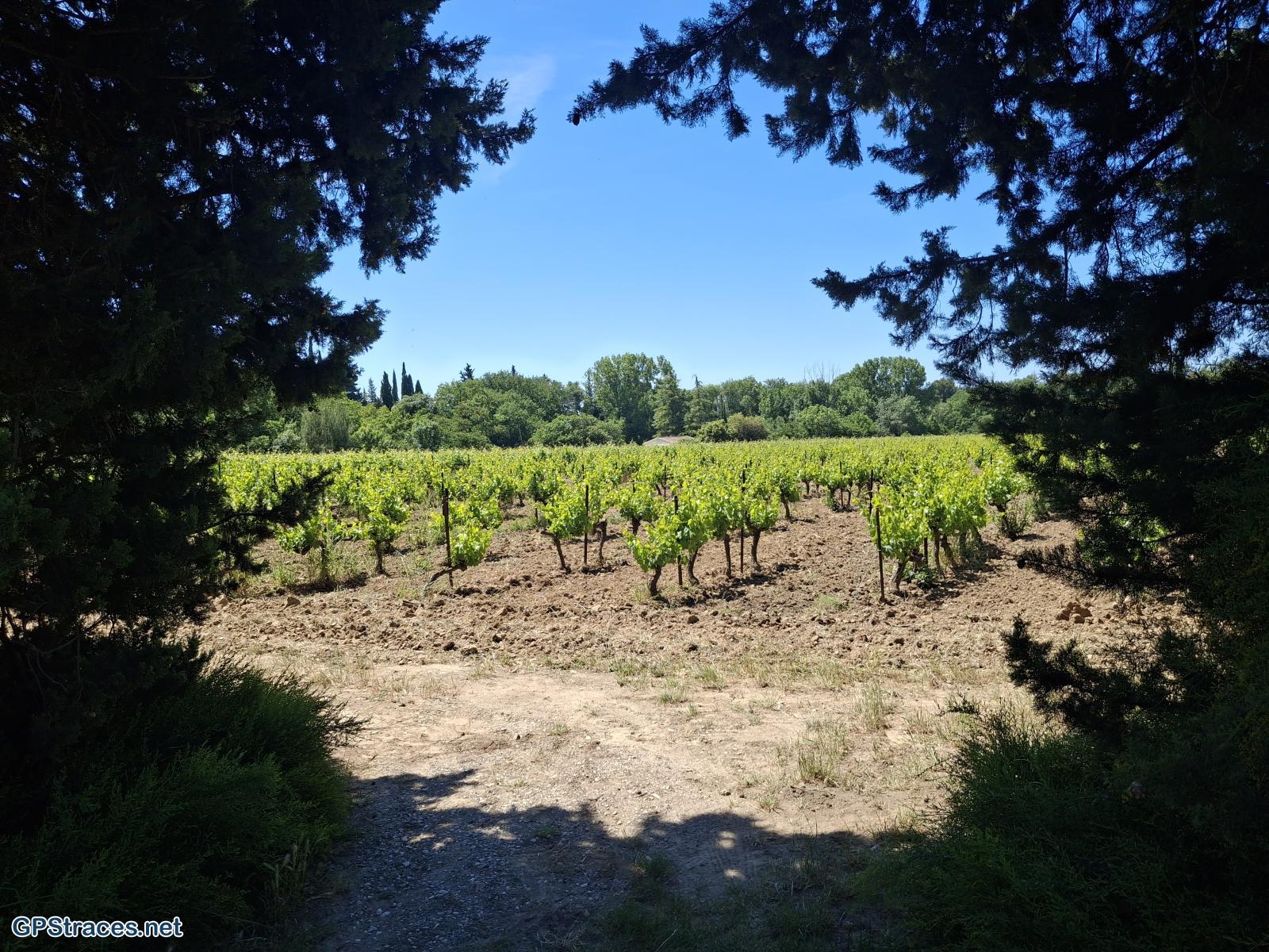 Vaucluse-De Lourmarin à Cadenet–3