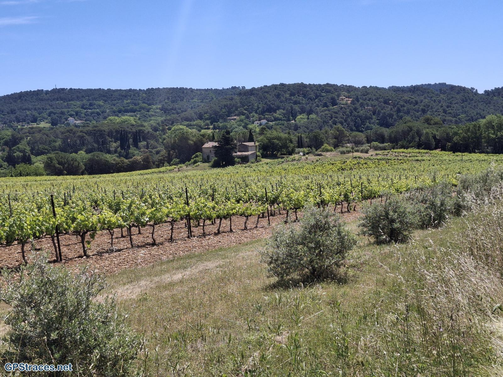 Vaucluse-De Lourmarin à Cadenet–8