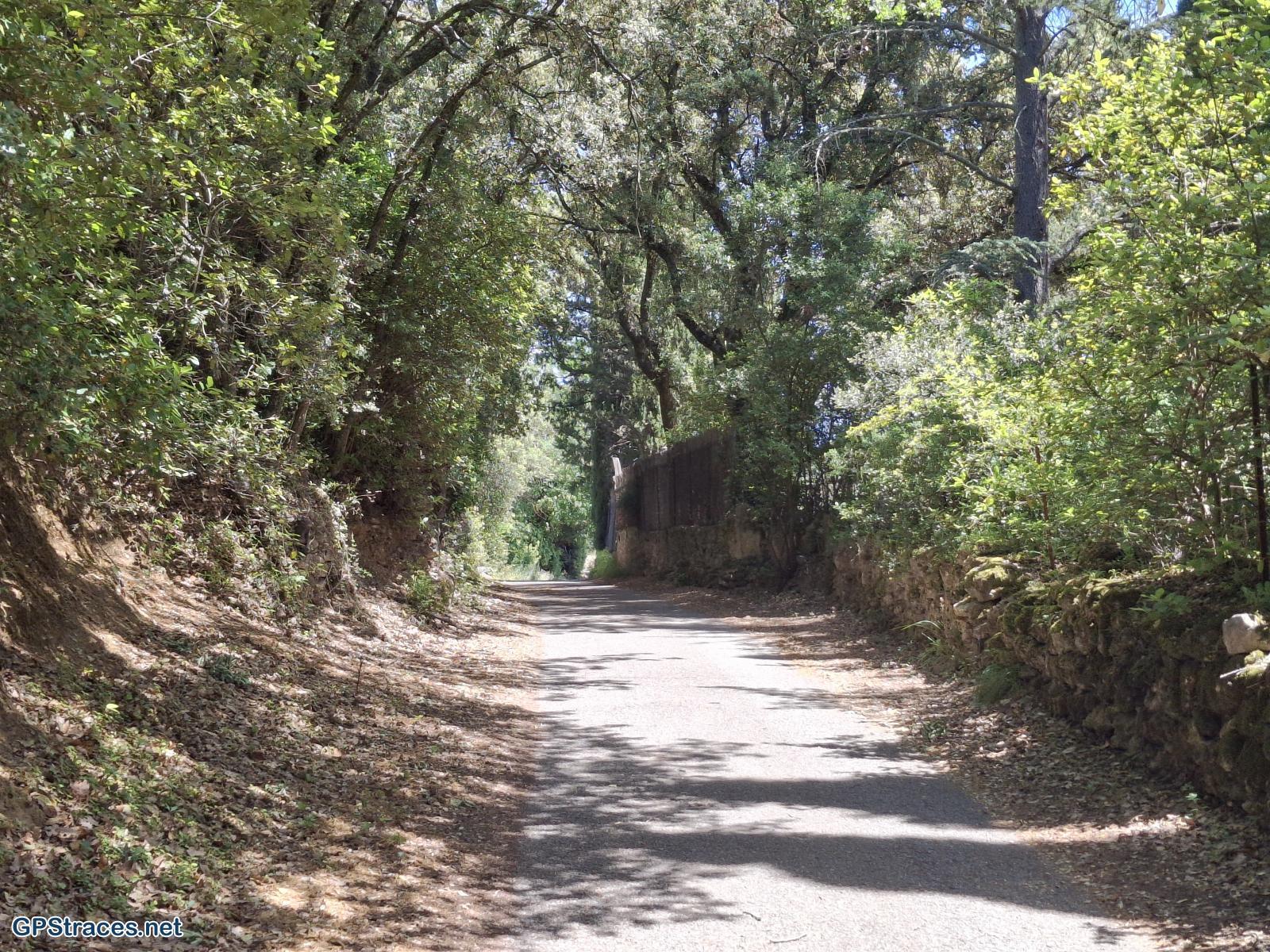 Vaucluse-De Lourmarin à Cadenet–9