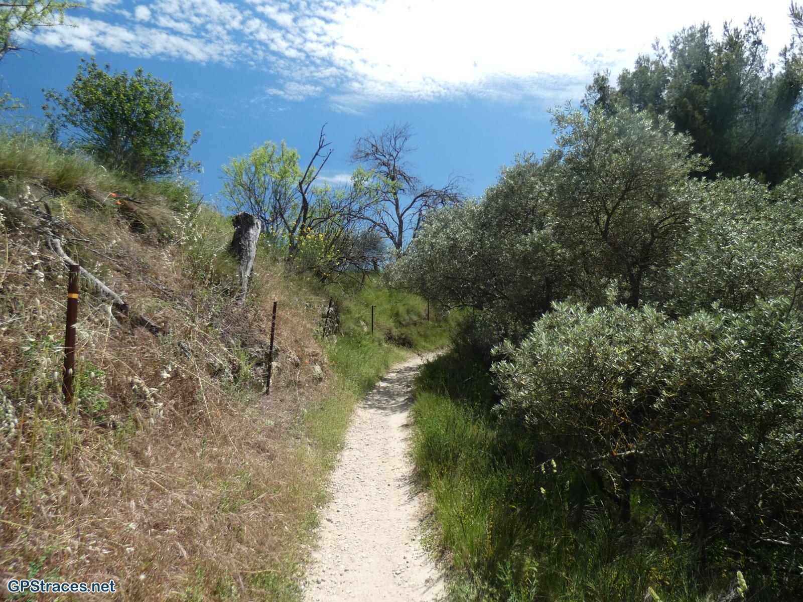 Vaucluse-De Lourmarin à Cadenet–13