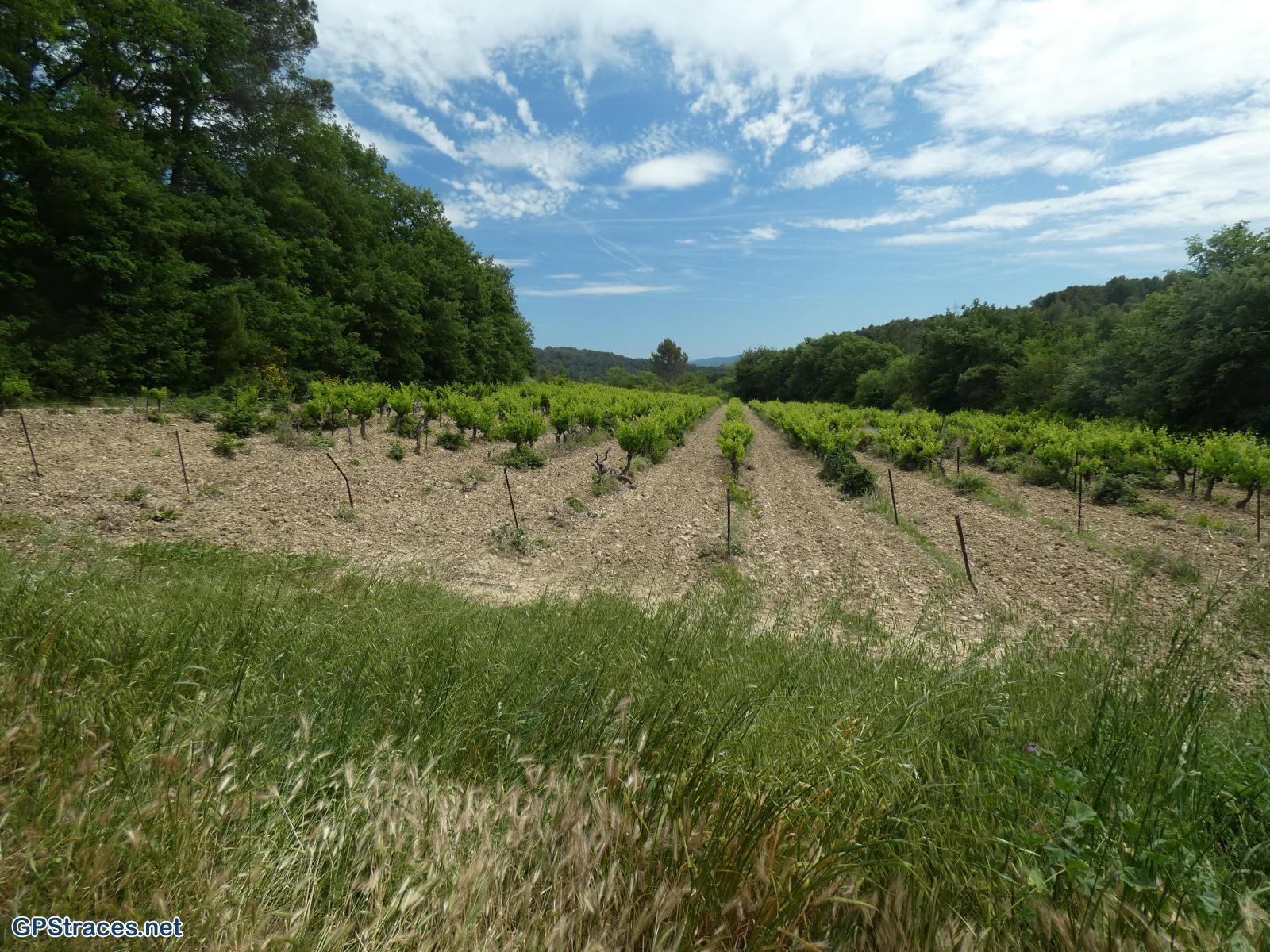 Vaucluse-De Lourmarin à Cadenet–25