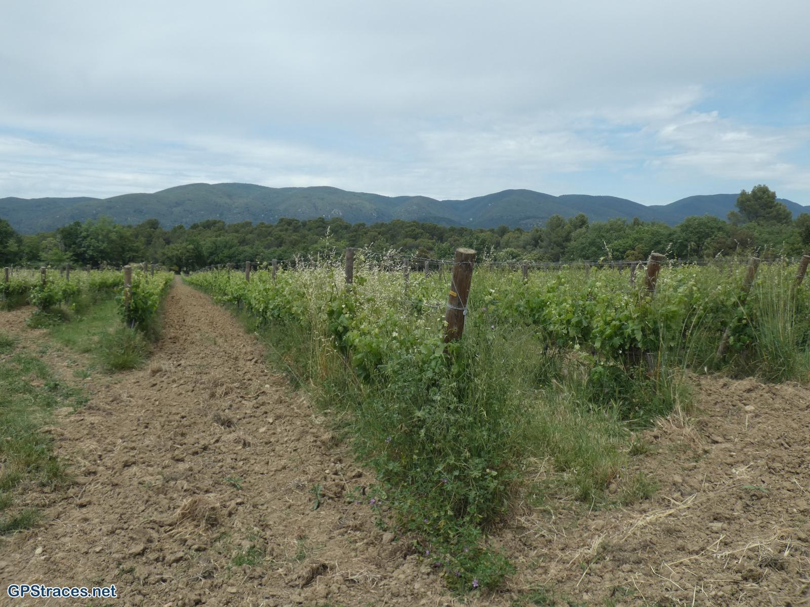 Vaucluse-De Lourmarin à Cadenet–26