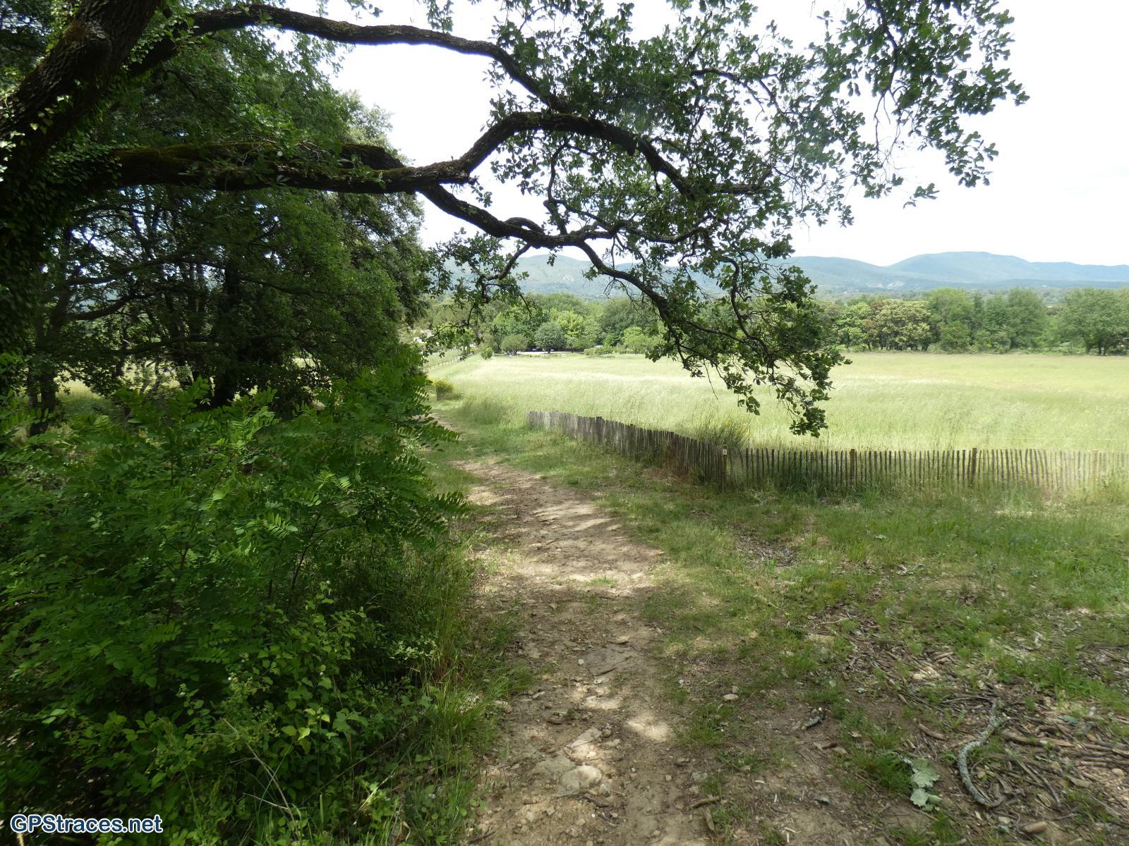 Vaucluse-De Lourmarin à Cadenet–27
