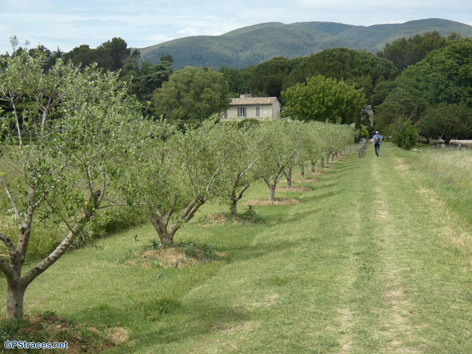Vaucluse-De Lourmarin à Cadenet–28