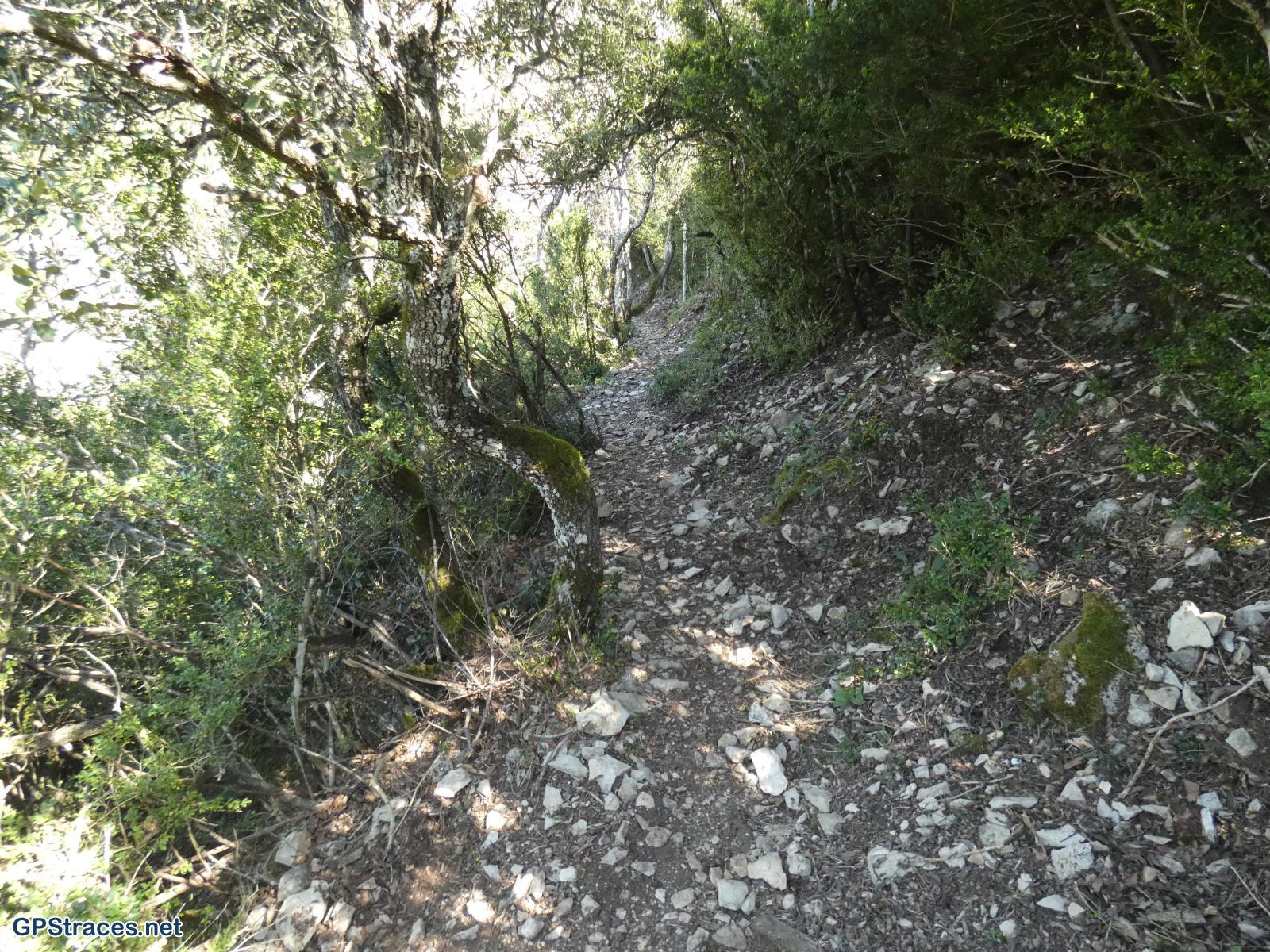 Vaucluse-Lourmarin - Pelat de Buoux–14