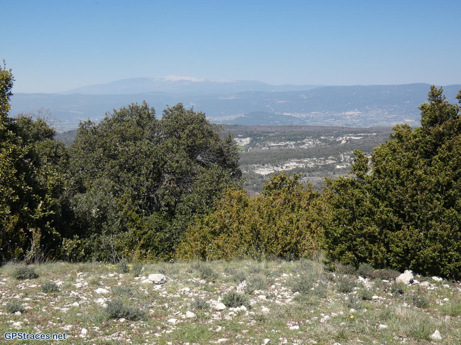 Vaucluse-Lourmarin - Pelat de Buoux–12