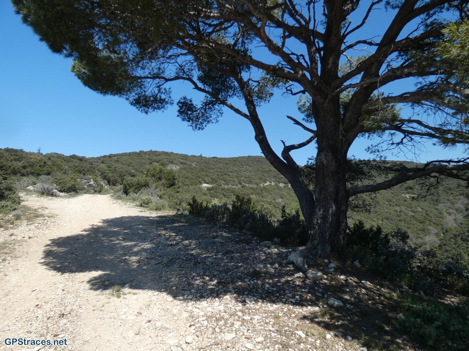 Vaucluse-Lourmarin - Pelat de Buoux–8