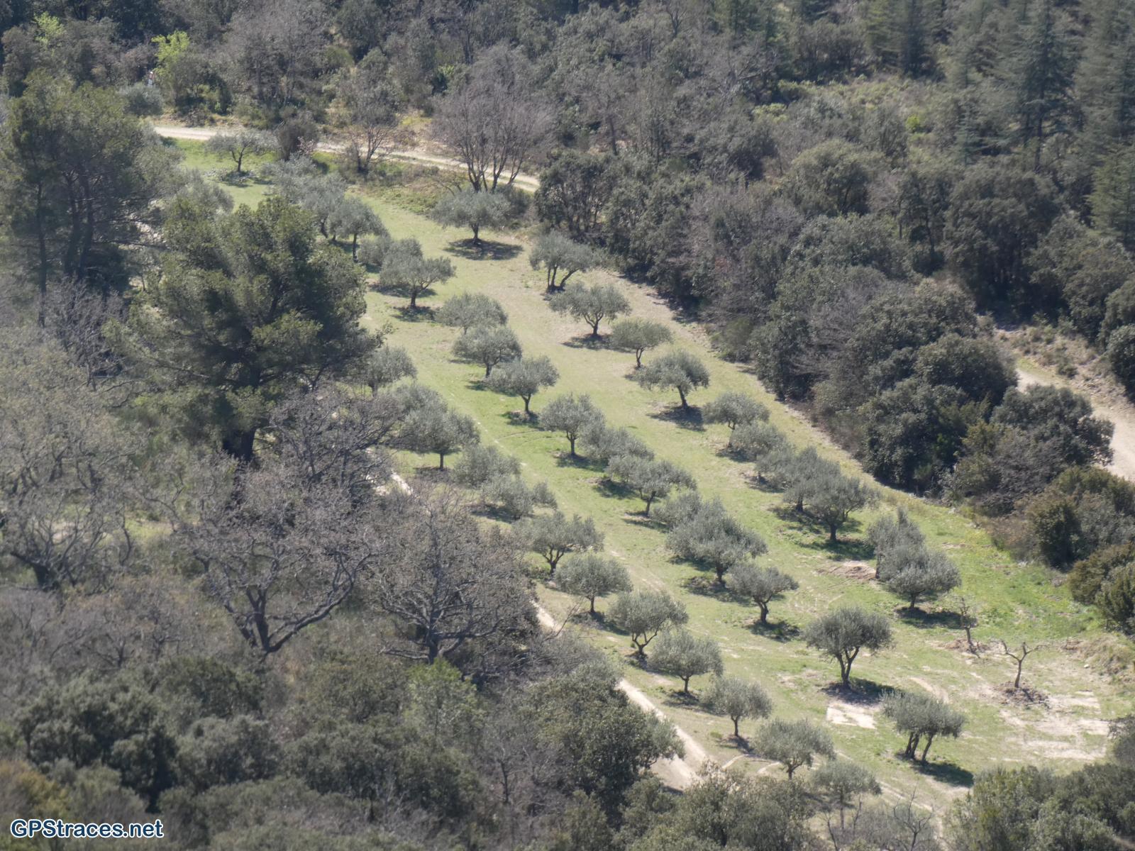 Vaucluse-Lourmarin - Pelat de Buoux–4