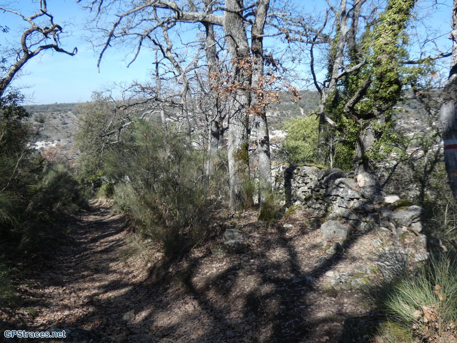 Vaucluse-Luberon - Buoux - Autour de l'Aiguebrun–2