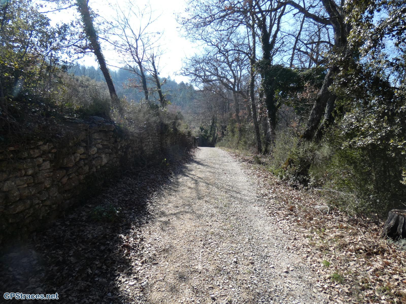 Vaucluse-Luberon - Buoux - Autour de l'Aiguebrun–9
