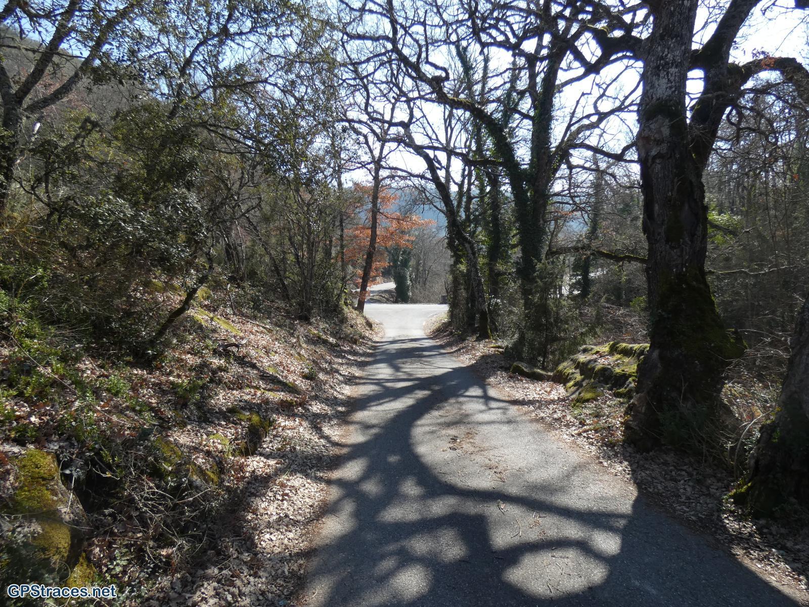 Vaucluse-Luberon - Buoux - Autour de l'Aiguebrun–12