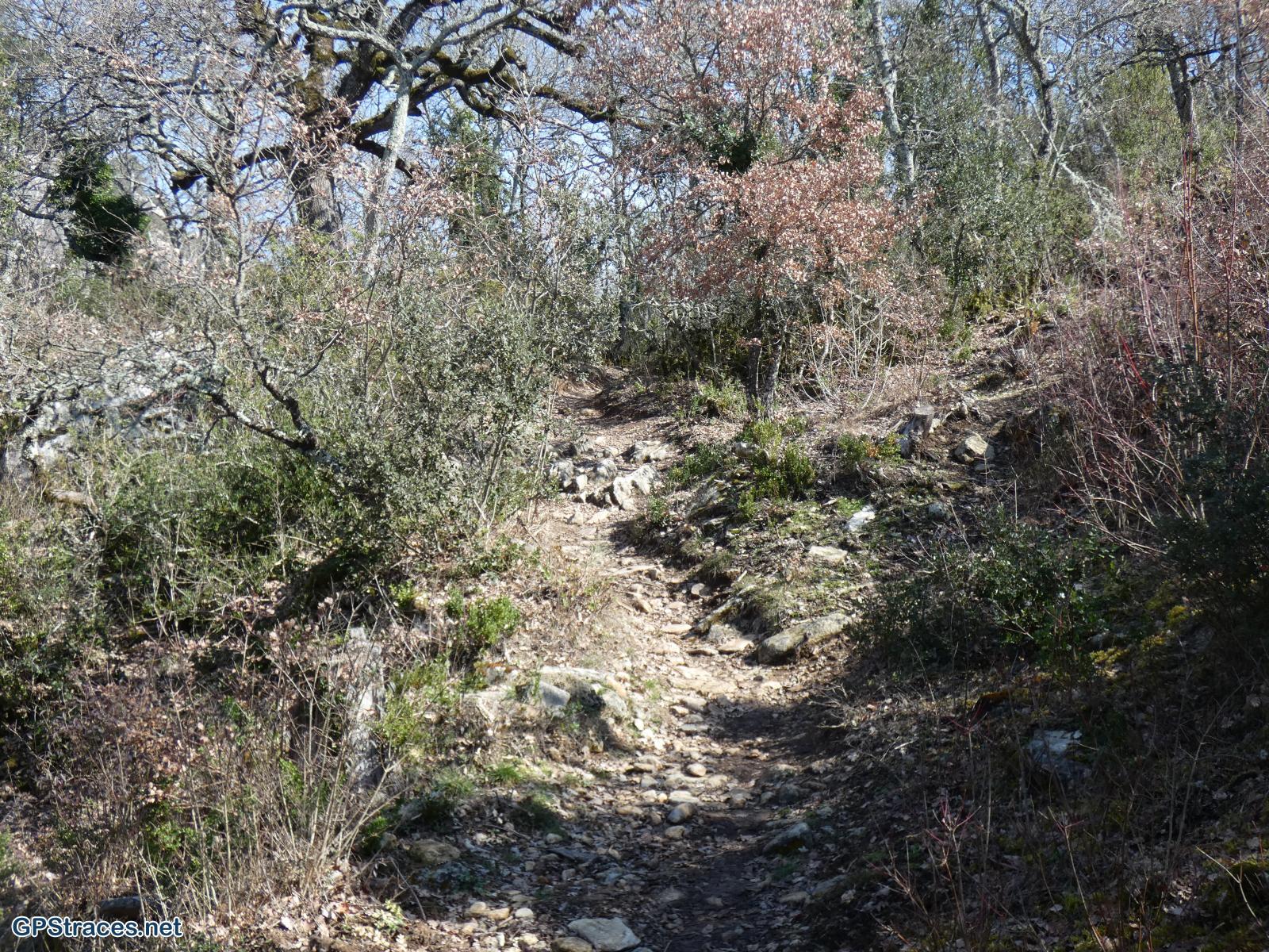Vaucluse-Luberon - Buoux - Autour de l'Aiguebrun–14
