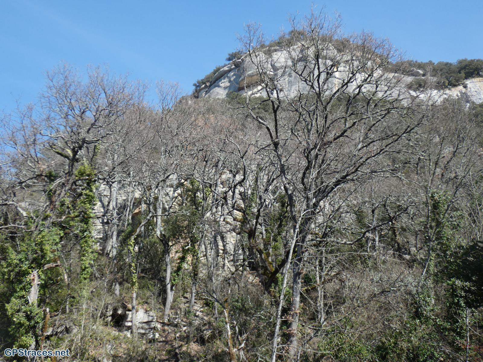 Vaucluse-Luberon - Buoux - Autour de l'Aiguebrun–15