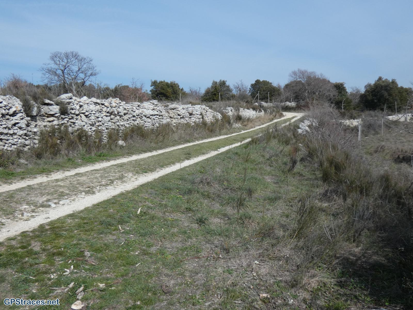 Vaucluse-Luberon - Buoux - Autour de l'Aiguebrun–31