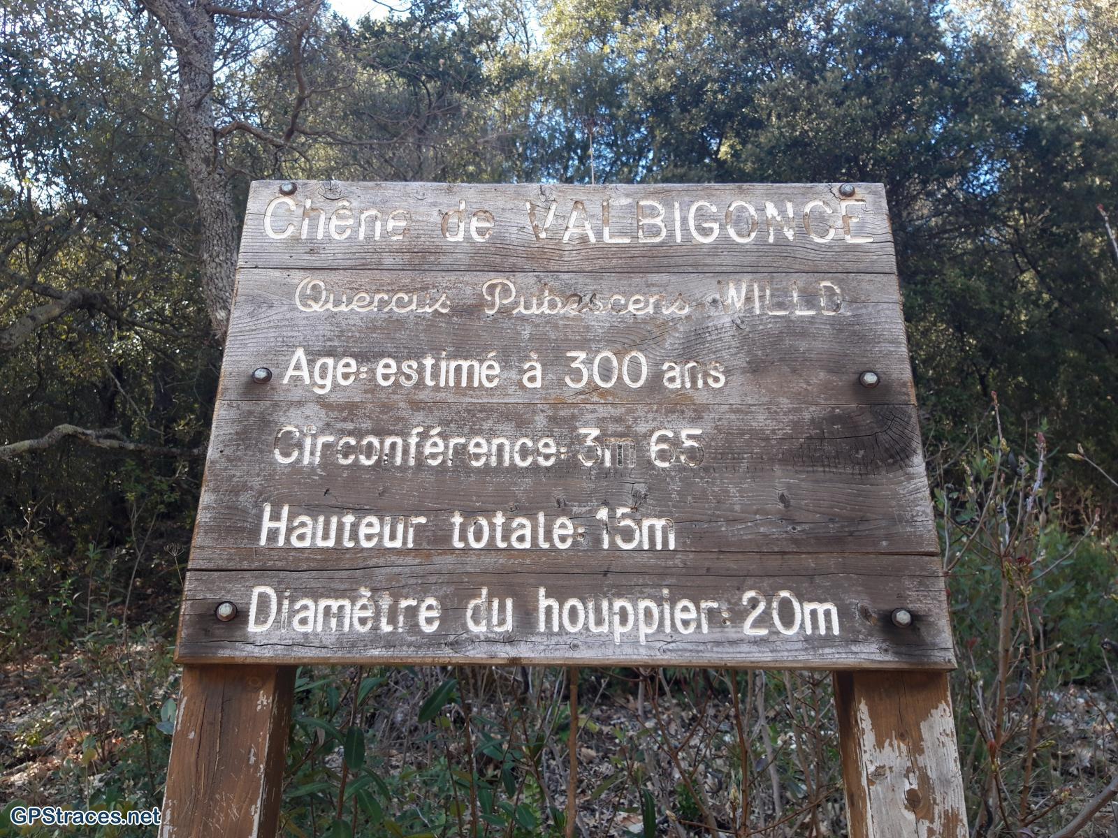 Vaucluse-Lubéron - Combe du Sautadou - Tour Philippe - Cadassès–18