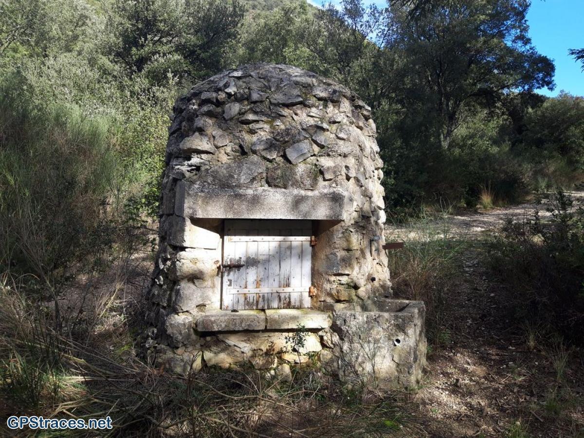 Vaucluse-Lubéron - Pic de l'Aigle - Forêt de cèdres–4