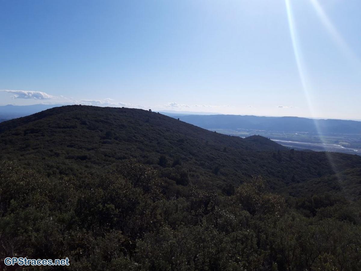 Vaucluse-Lubéron - Pic de l'Aigle - Forêt de cèdres–6