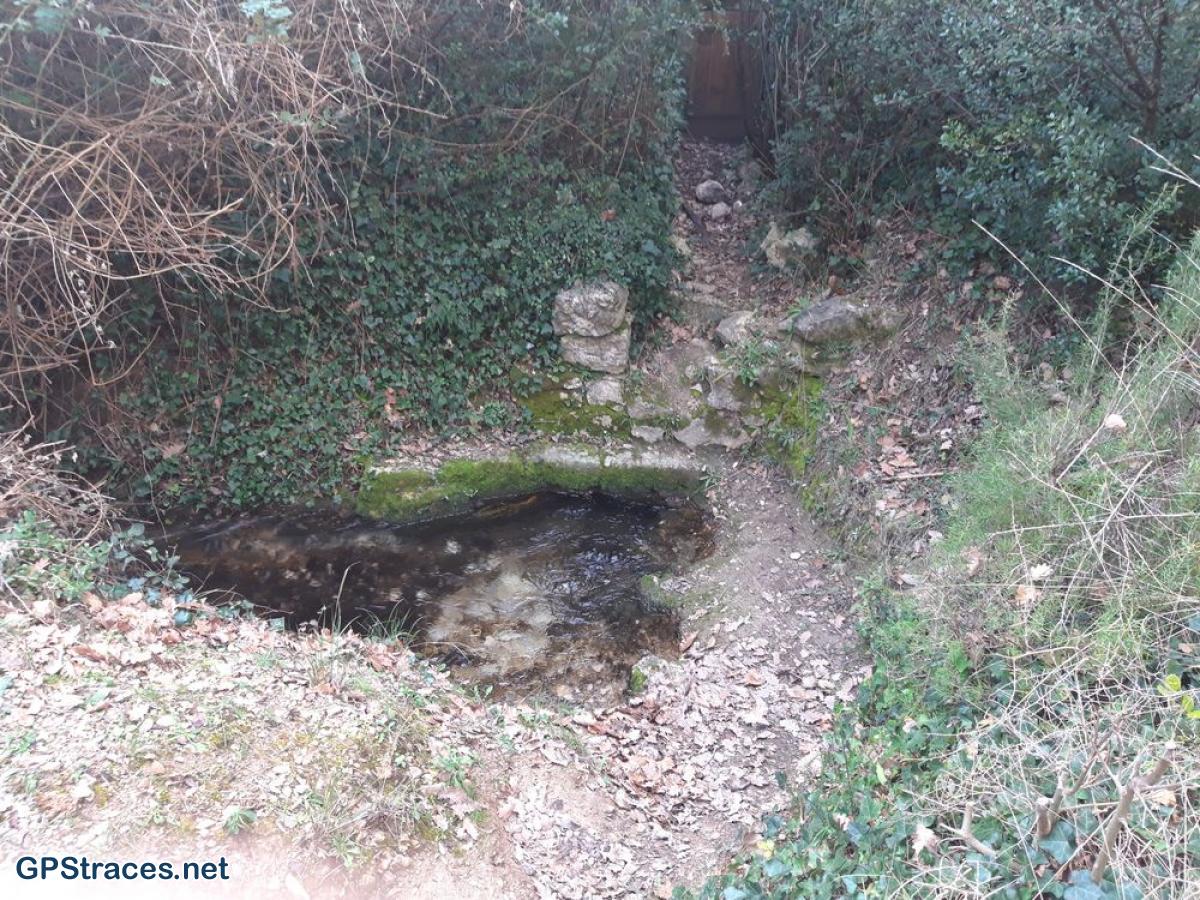 Vaucluse-Lubéron - Pic de l'Aigle - Forêt de cèdres–16