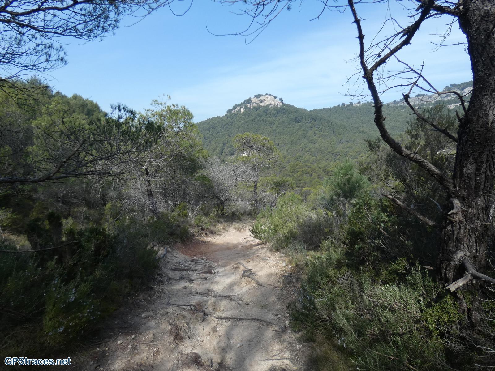 Vaucluse-Lubéron - Régalon - Tête des Buisses–1