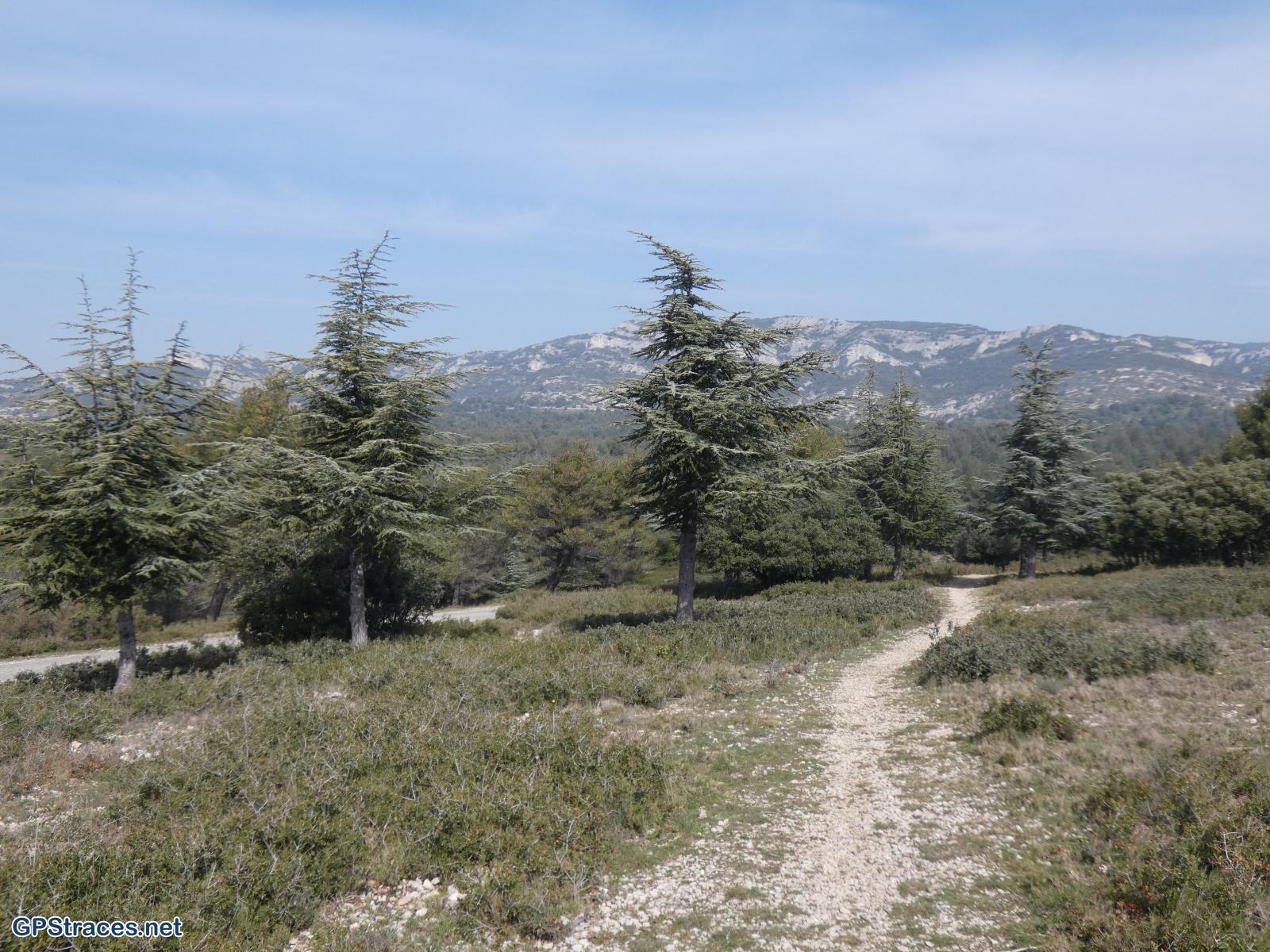 Vaucluse-Lubéron - Régalon - Tête des Buisses–6