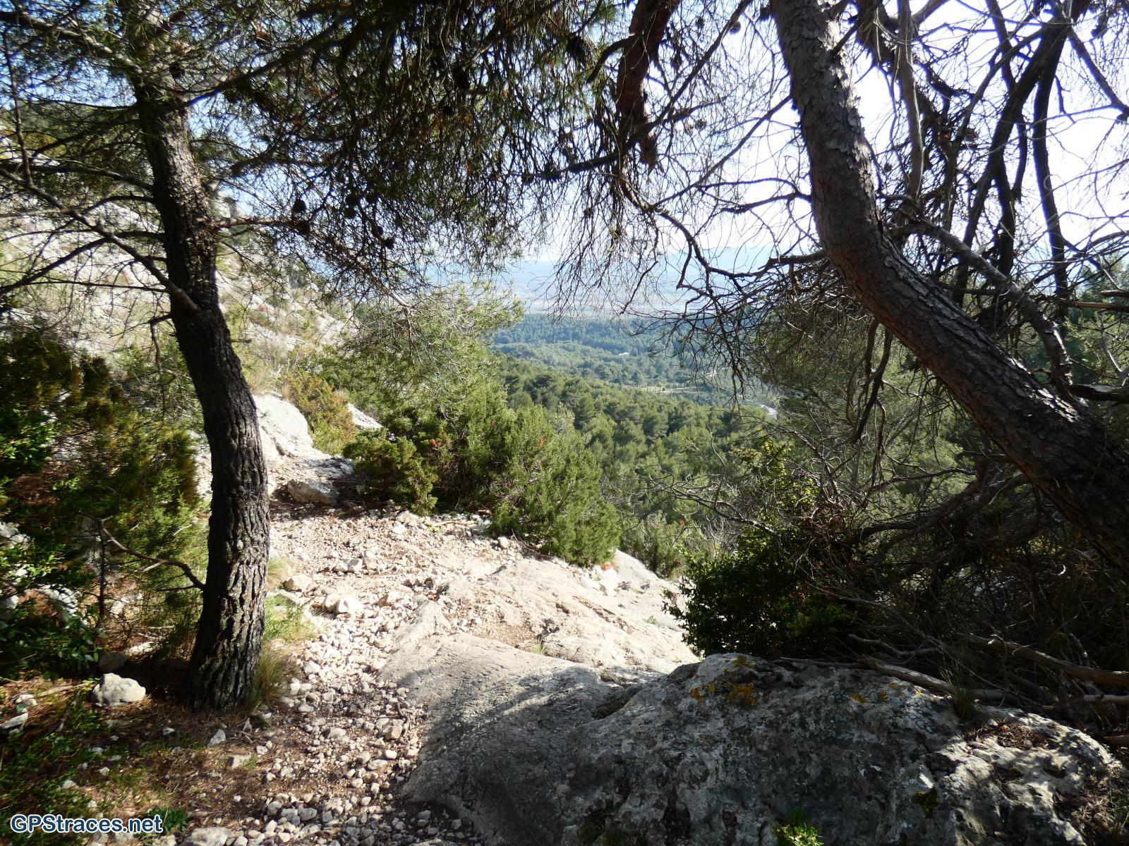 Vaucluse-Lubéron - Régalon - Tête des Buisses–15