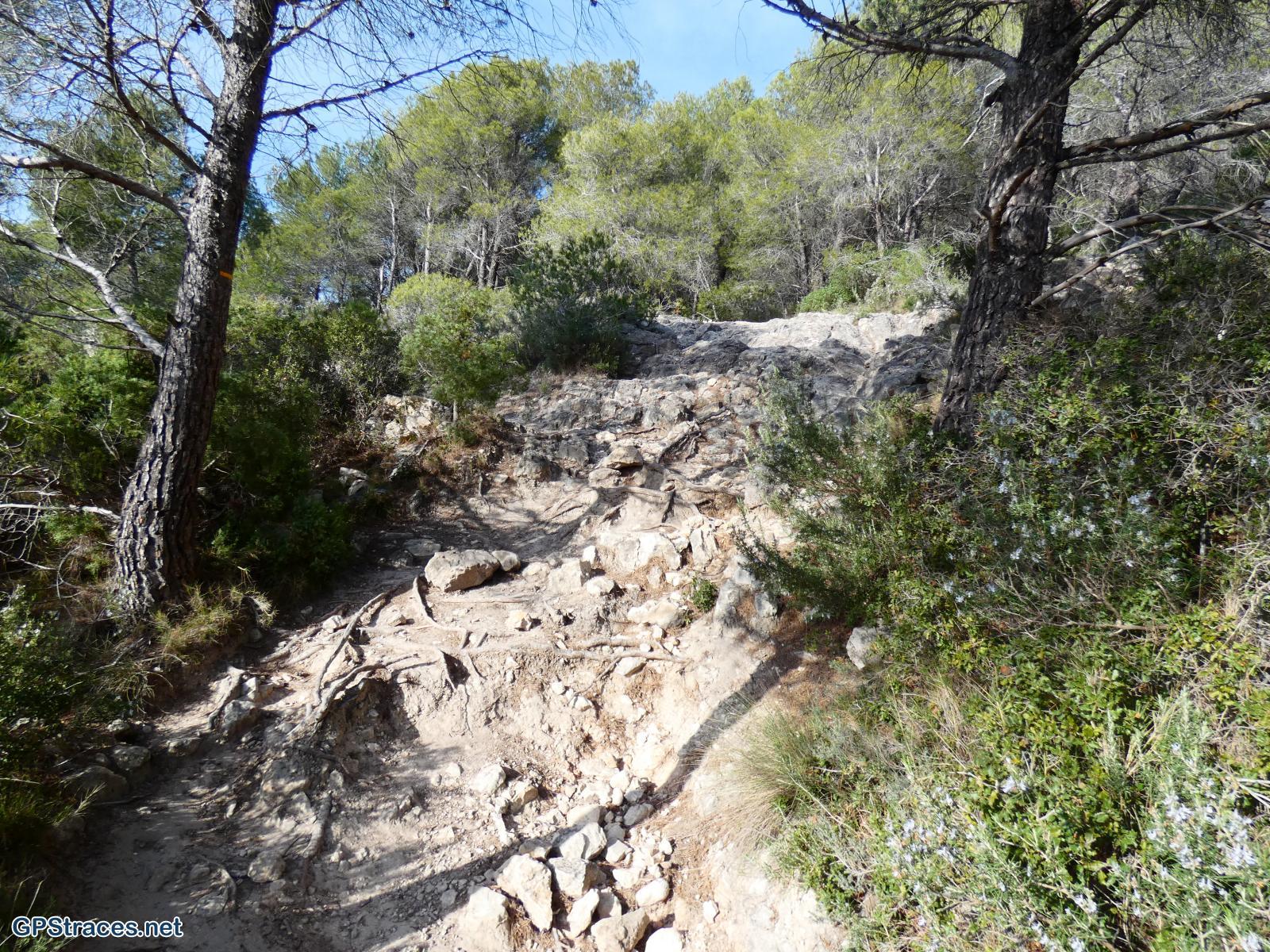 Vaucluse-Lubéron - Régalon - Tête des Buisses–17