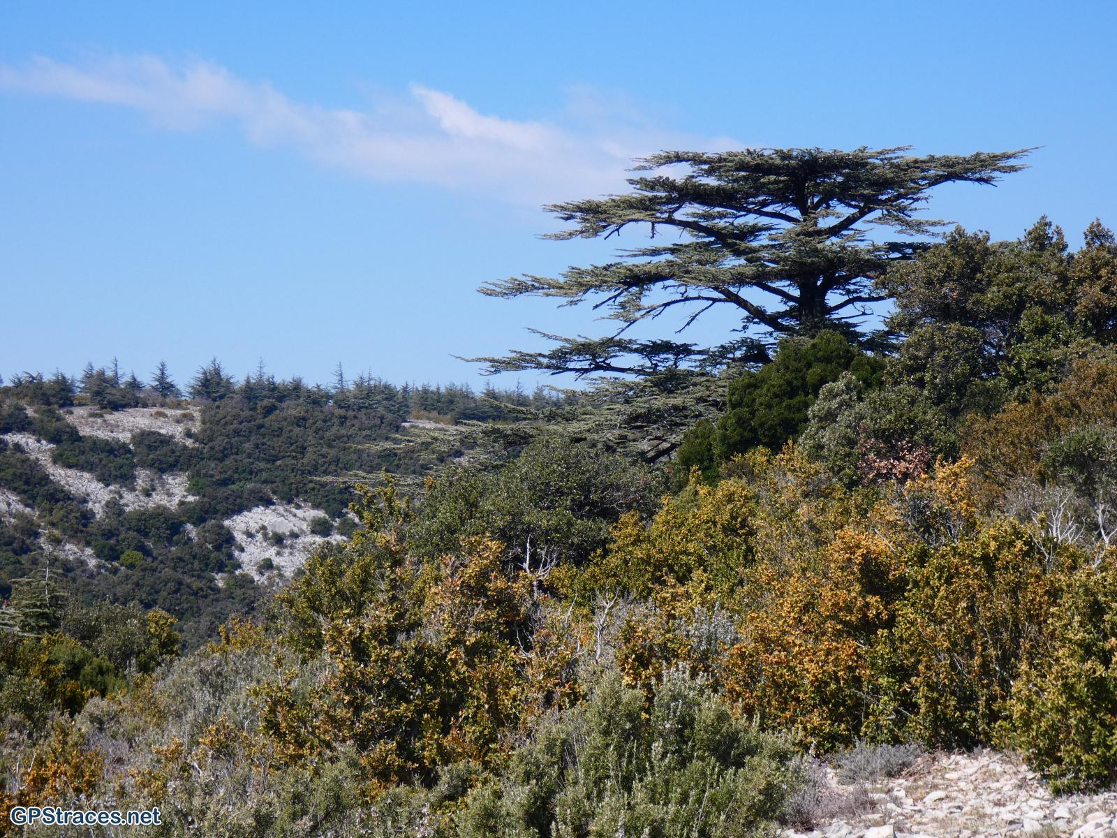 Vaucluse-Luberon - La Roquette - Le Pradon–9