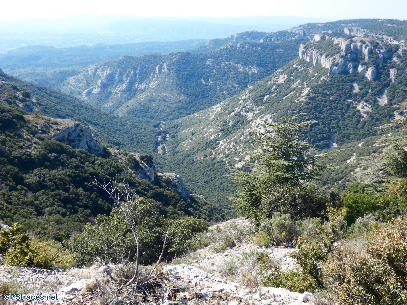 Le vallon du Roumiguier