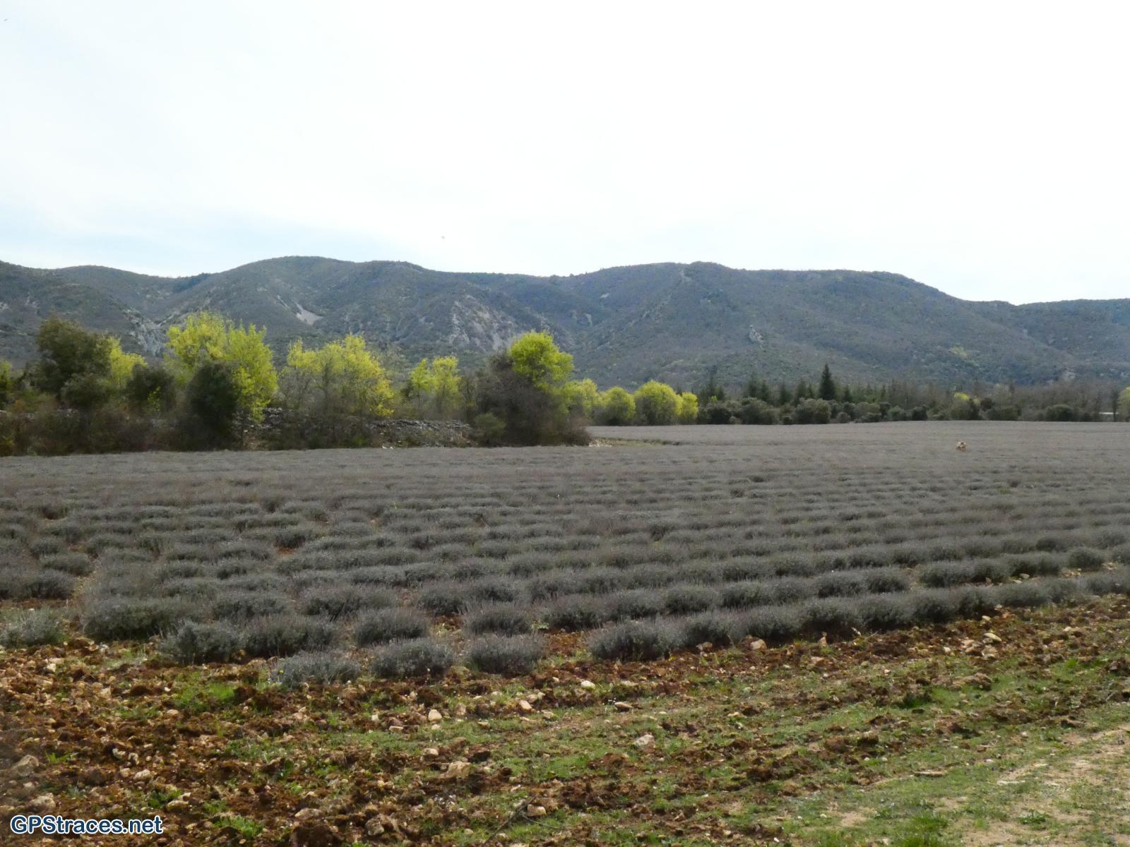 Vaucluse-Luberon - Sivergues - Autour de l'Aigue Brun–5