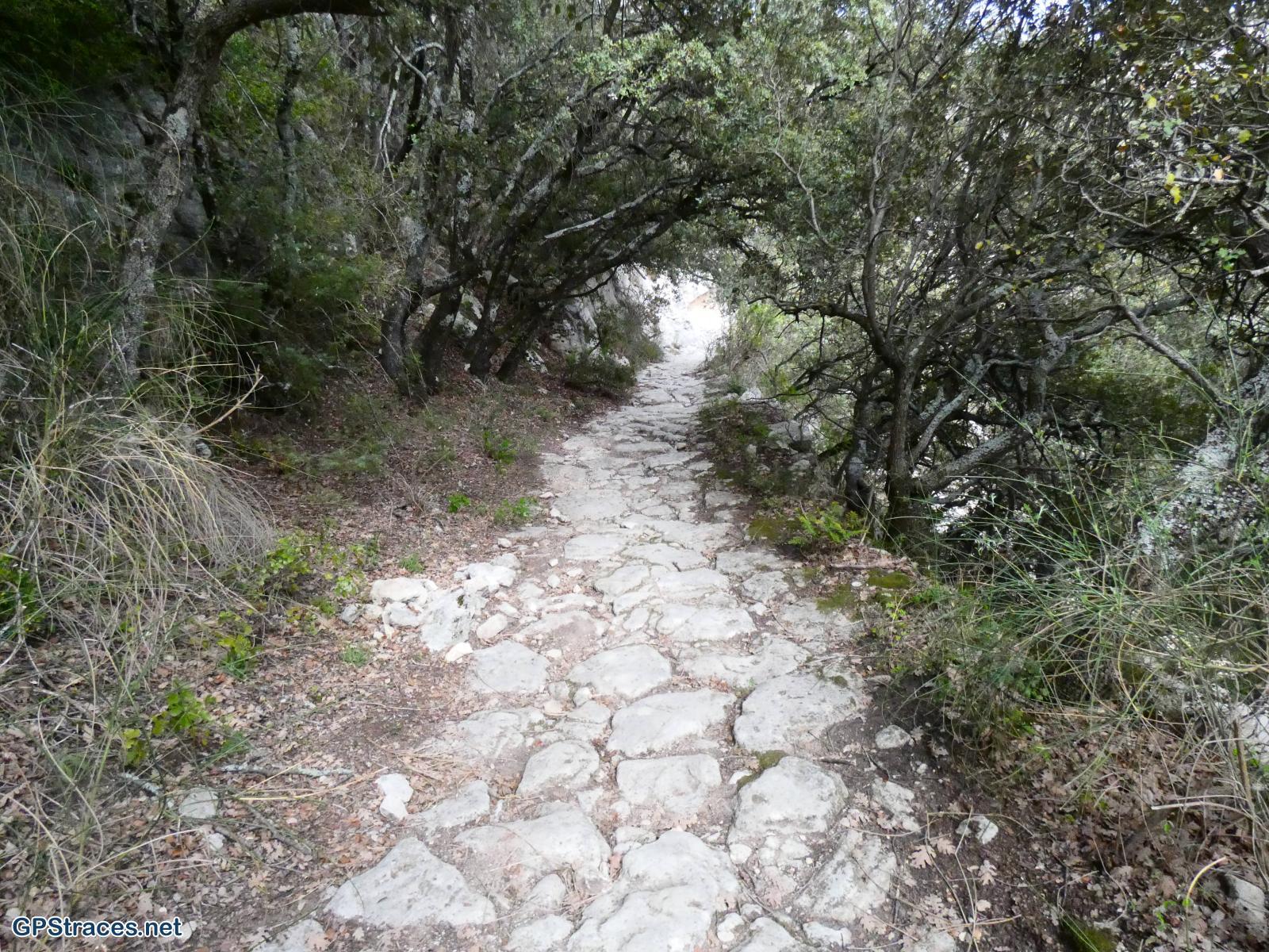 Vaucluse-Luberon - Sivergues - Autour de l'Aigue Brun–13