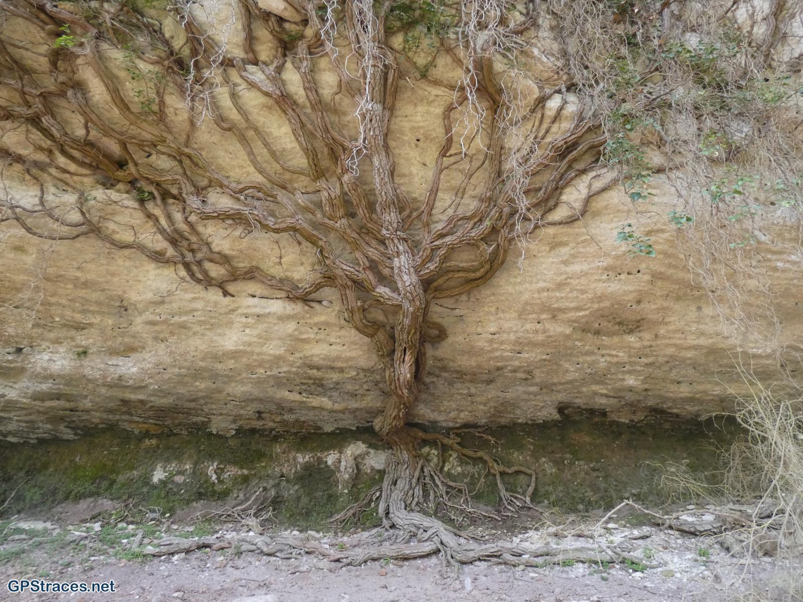 Vaucluse-Luberon - Sivergues - Autour de l'Aigue Brun–20