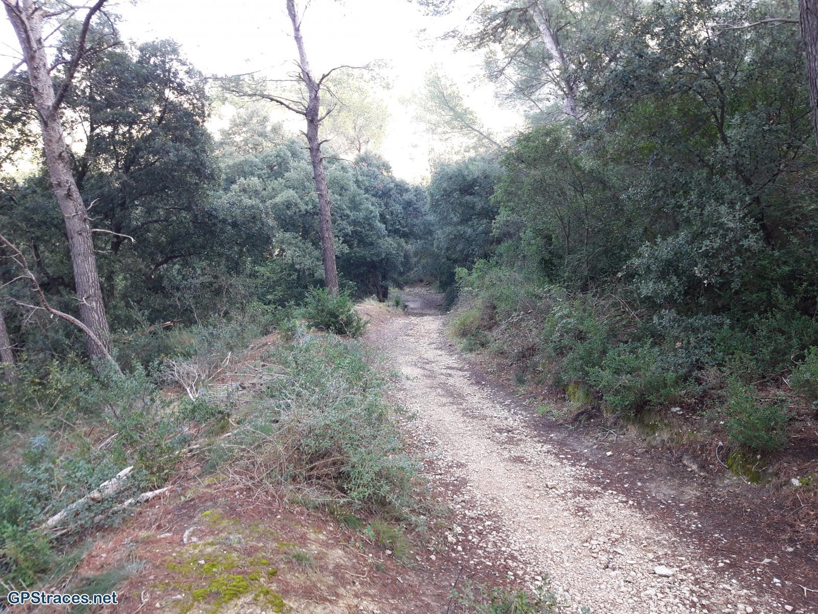 Vaucluse-Lubéron - Tête des Buisses–1