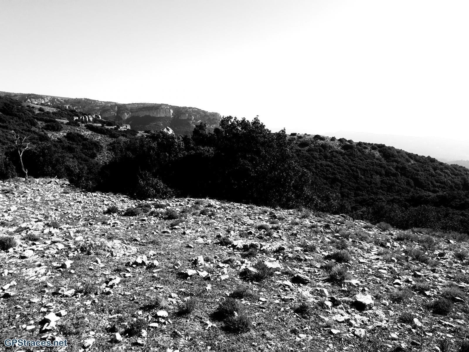 Vaucluse-Lubéron - Tête des Buisses–5