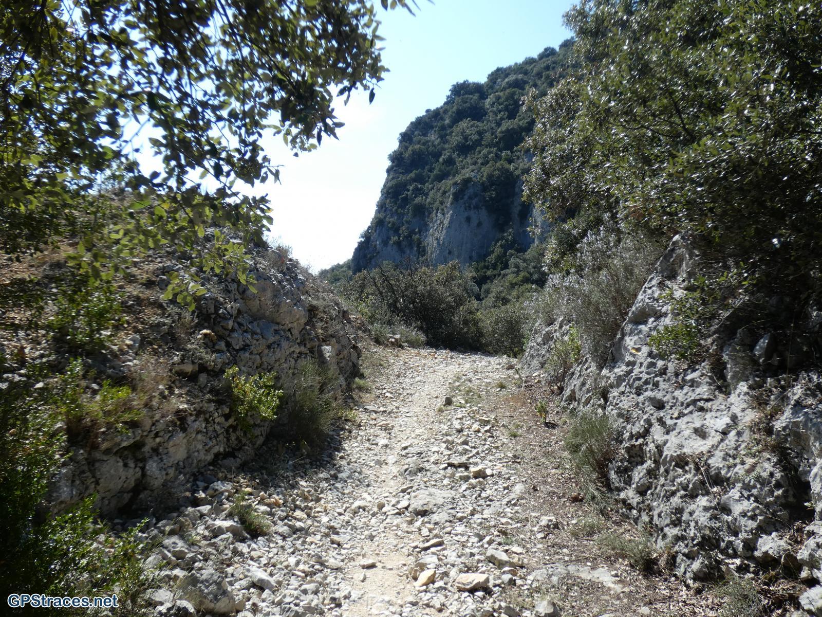 Dans la combe du Sautadou